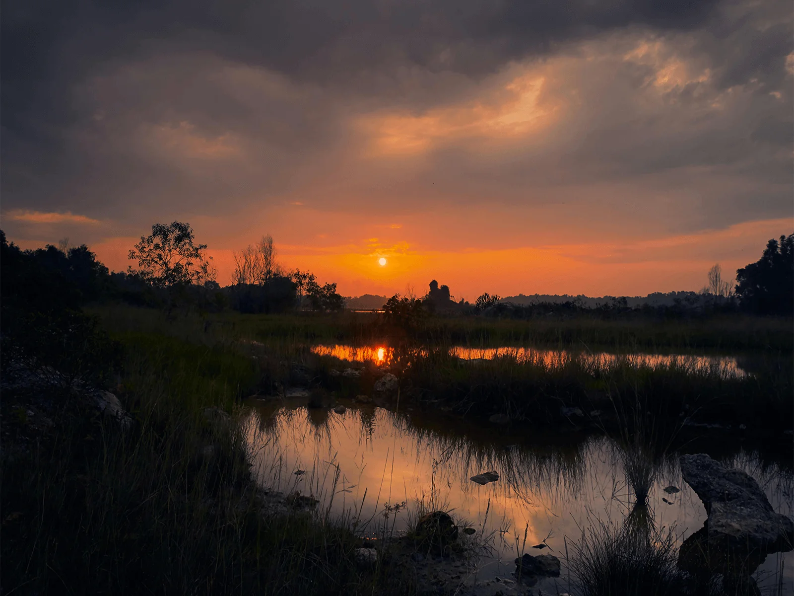 Midnight to Pre-DawnCover